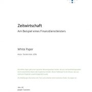 thumbnail of whitepaper_devag_zeitwirtschaft